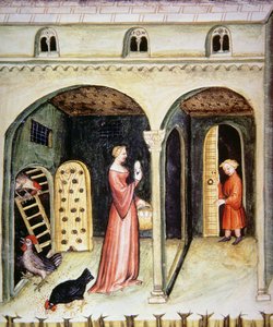 Fol.65v飼育雌鶏、Tacuinum Santiatis Codex Vindobonensisのイラスト 作： Italian School